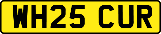 WH25CUR