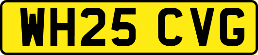 WH25CVG