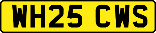 WH25CWS