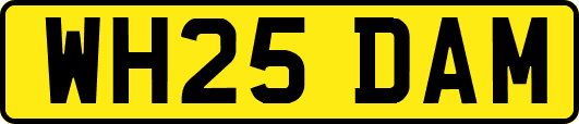 WH25DAM