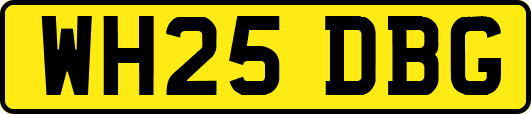 WH25DBG