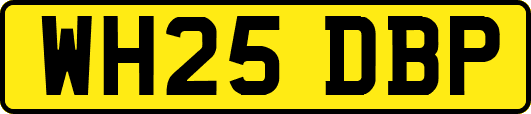 WH25DBP