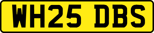 WH25DBS