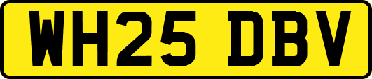 WH25DBV