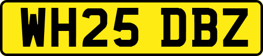 WH25DBZ