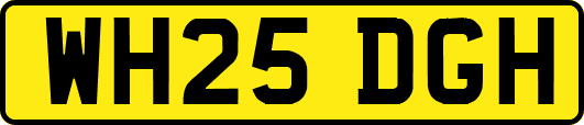 WH25DGH
