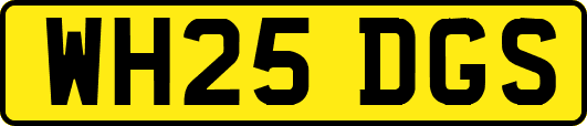 WH25DGS
