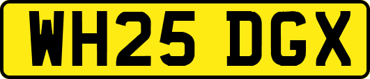 WH25DGX