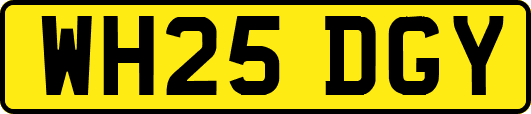 WH25DGY