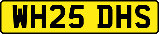 WH25DHS