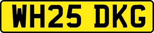 WH25DKG