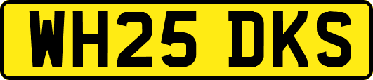 WH25DKS