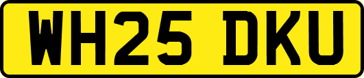 WH25DKU