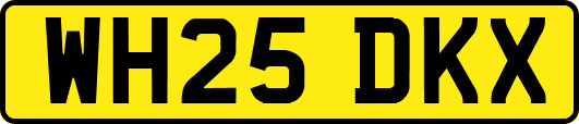 WH25DKX