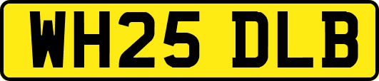 WH25DLB