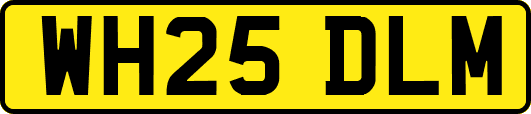 WH25DLM