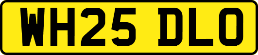 WH25DLO