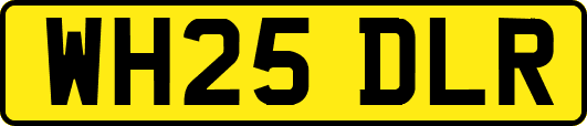 WH25DLR
