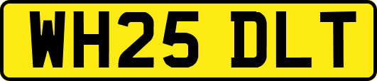 WH25DLT