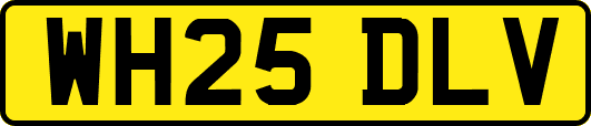 WH25DLV