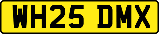 WH25DMX