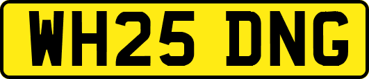 WH25DNG