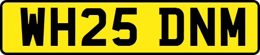 WH25DNM