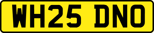WH25DNO