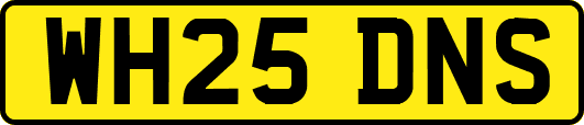 WH25DNS