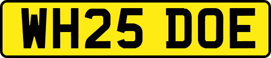 WH25DOE