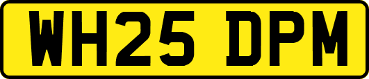 WH25DPM