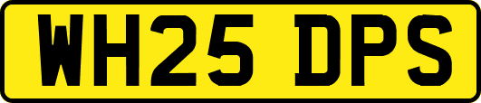 WH25DPS