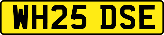 WH25DSE