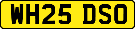 WH25DSO
