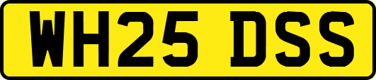 WH25DSS