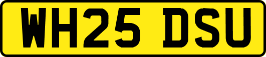 WH25DSU