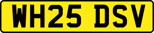 WH25DSV