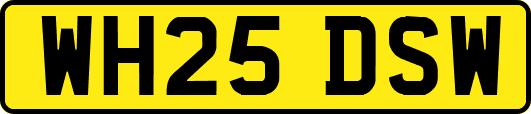WH25DSW