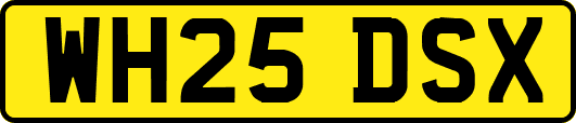 WH25DSX