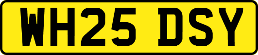 WH25DSY