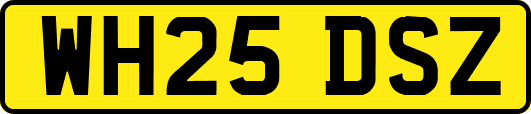 WH25DSZ