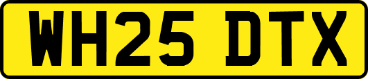WH25DTX