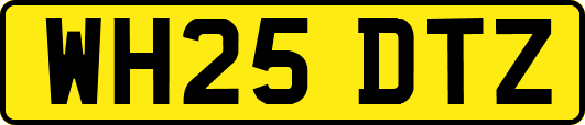 WH25DTZ