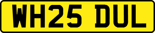 WH25DUL