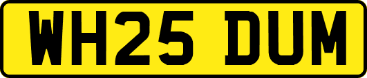 WH25DUM