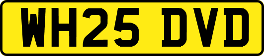 WH25DVD