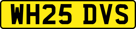 WH25DVS