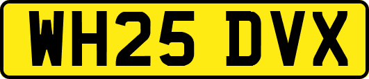 WH25DVX