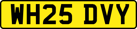 WH25DVY