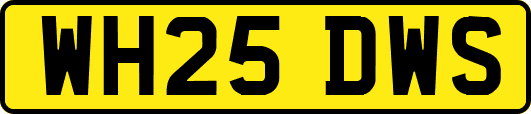 WH25DWS